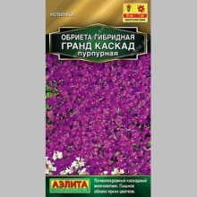 Обриета Гранд Каскад пурпурная