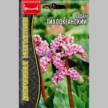 Бадан Тихоокеанский (большой пакет)