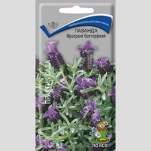 Лаванда Фрагрант баттерфляй
