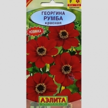 Георгина Румба Красная