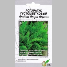 Аспарагус Файзи Ферн Фризз