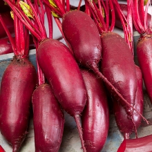 Свекла Рокет Дабл Ред