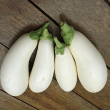 Баклажан Белая Ночь