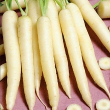 Морковь Чурчхела Белая
