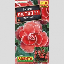 Бегония Он Топ F1 Мелон Лейс