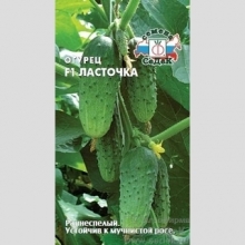 Огурец Ласточка F1