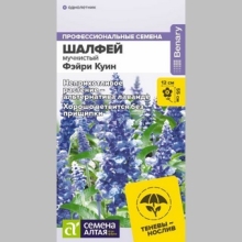 Шалфей Фэйри Куин (мучнистый)