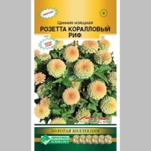 Цинния Розетта Коралловый риф (изящная)
