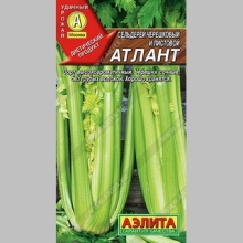 Сельдерей Атлант (черешковый и листовой)