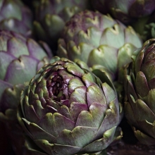 Артишок Красавец (кардон испанский)