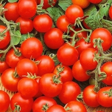 Томат Минибел