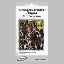 Пеннисетум сизый Парпл Маджести F1