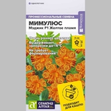 Мимулюс Мэджик F1 Желтое пламя