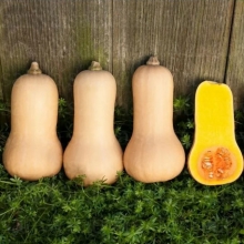 Тыква Капелька (мини-овощи)
