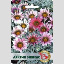 Газания (гацания) Арктик Энжелс