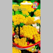 Лонас Инодора