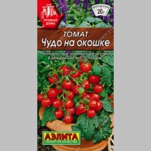 Томат Чудо на окошке