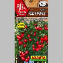 Томат Чудо карлик F1