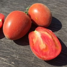 Томат Мохнатый Шмель