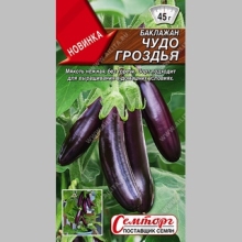 Баклажан Чудо гроздья