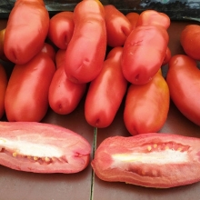 Томат Казанова