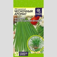 Лук Душистый Чесночный Аромат