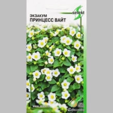 Экзакум Принцесс Вайт