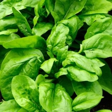 Шпинат Повар Миша