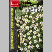 Камнеломка Манчжурская (большой пакет)