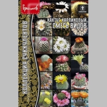 Кактус карликовый Смесь Видов (большой пакет)