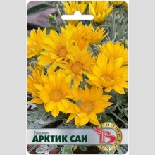 Газания (гацания) Арктик Сан