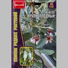 Фейхоа Крупноплодный (большой пакет)