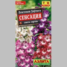 Пенстемон Сенсация смесь