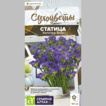 Статица Хипстер Блю