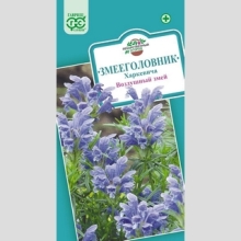 Змееголовник Воздушный змей (Харкевича)