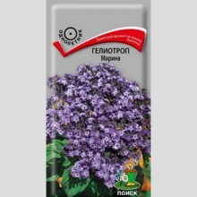 Гелиотроп Марина