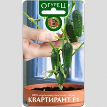 Огурец Квартирант F1