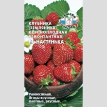 Земляника Настенька F1