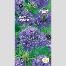 Гилия Орфей головчатая