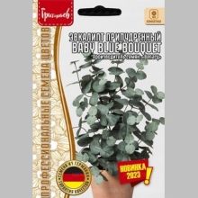 Эвкалипт Baby Blue Bouquet припудренный (большой пакет)