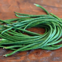 Вигна Факир