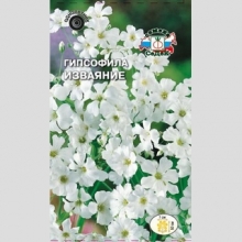 Гипсофила Изваяние изящная белая