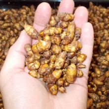 Чуфа Нафаня