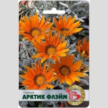 Газания (гацания) Арктик Флэйм