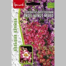Схизантус Angel Wings Mixed (визетонский) (большой пакет)