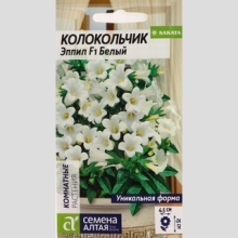Колокольчик Эппил F1 Белый