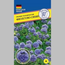 Гилия Фиолетово-синяя