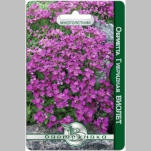 Обриетта Виолет (гибридная)