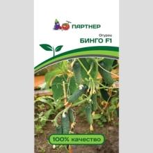 Огурец Бинго F1