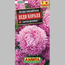 Астра Леди Коралл светло-розовая